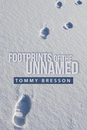 Cover of the book Footprints of the Unnamed by SHATINA CHEREE BARR LMSW
