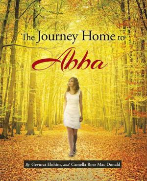 Cover of the book The Journey Home to Abba by Michael Collins