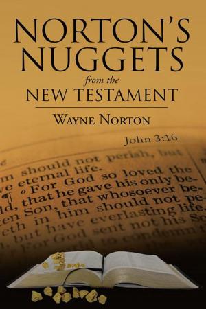 Cover of the book Norton's Nuggets from the New Testament by Dr. Kwasi Kodua Addai-Mensah