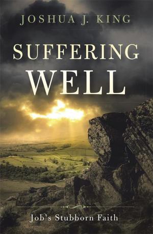 Cover of the book Suffering Well by Jeffrey E. Stephens