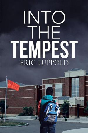 Cover of the book Into the Tempest by Ann Miller Wolski