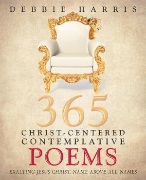 Cover of the book 365 Christ-Centered Contemplative Poems by Sally Silvershoes