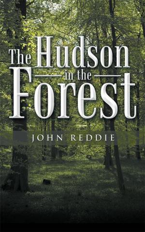 Cover of the book The Hudson in the Forest by Breanna Cone