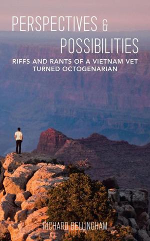 Cover of the book Perspectives and Possibilities by Peter Altschul