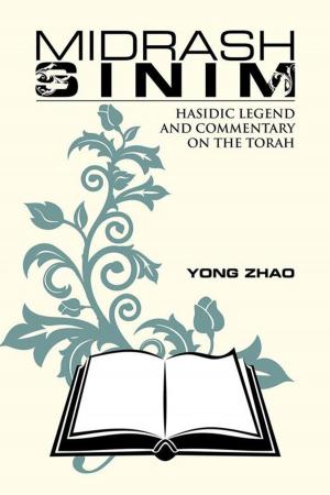 Cover of the book Midrash Sinim by Jimmy Esmaeili