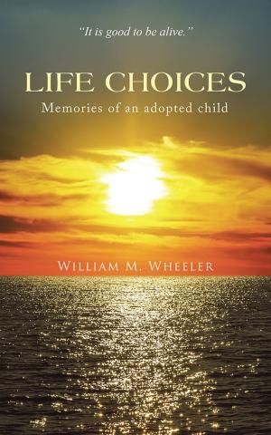Cover of the book Life Choices by Khalil Baaqi