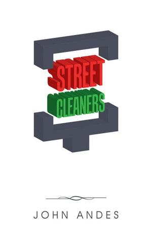 bigCover of the book Street Cleaners by 