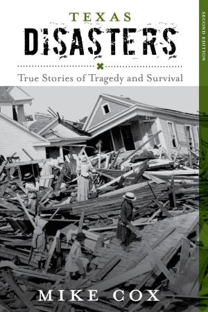 bigCover of the book Texas Disasters by 