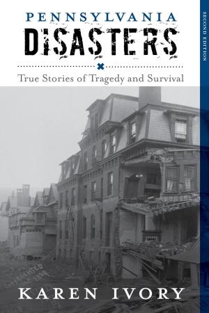 bigCover of the book Pennsylvania Disasters by 