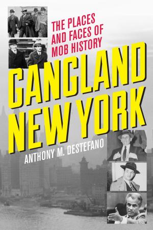Cover of the book Gangland New York by Tom McCarthy