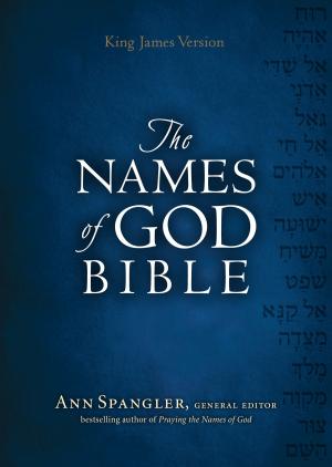 Book cover of KJV Names of God Bible