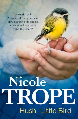 Cover of the book Hush, Little Bird by Amie Harper