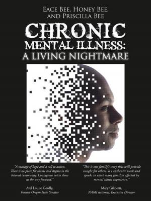Book cover of Chronic Mental Illness: