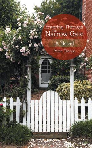 Cover of the book Entering Through the Narrow Gate by Jeff Martinez