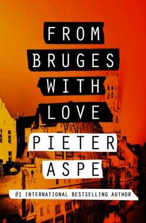Cover of the book From Bruges with Love by M. E. Kerr, Mary James