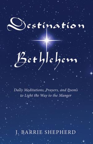 Cover of the book Destination Bethlehem by François Hollande