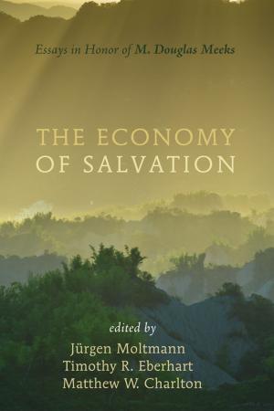 Cover of the book The Economy of Salvation by John Timmerman