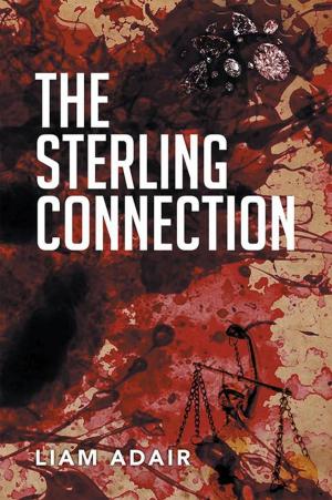 Cover of the book The Sterling Connection by Jacqueline Mary Masciotti