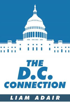 Cover of the book The D.C. Connection by Marina Perry-Kuhn