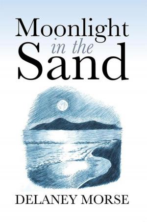 Cover of the book Moonlight in the Sand by Shelley A. Christensen