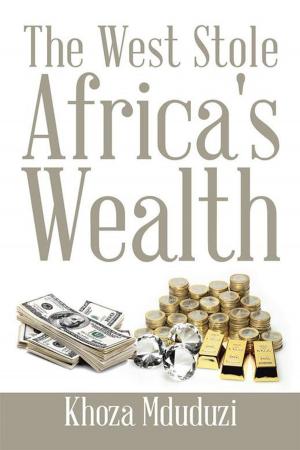 Cover of the book The West Stole Africa's Wealth by Patrick Wageman