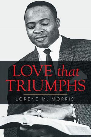 Cover of the book Love That Triumphs by Paul Von Sarjay