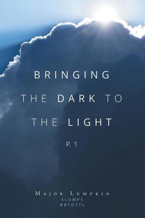 Cover of the book Bringing the Dark to the Light by D. M. Russ