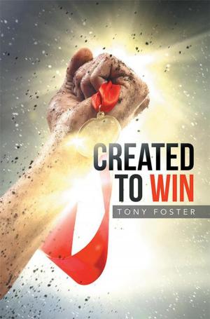 Cover of the book Created to Win by Don Chivers