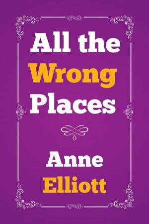 Cover of the book All the Wrong Places by Michael E. Bangham