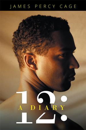 Cover of the book 12: a Diary by Richard J. J. O’Connor