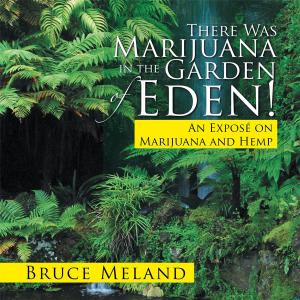 Cover of the book There Was Marijuana in the Garden of Eden! by Monica Sucha Vickers