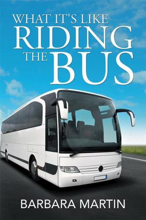 Cover of the book What It's Like Riding the Bus by M. G. Marzen