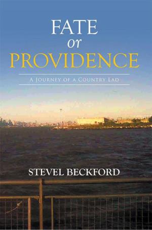 Cover of the book Fate or Providence by Brienda Crosby - Averhart