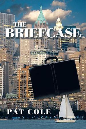 Cover of the book The Briefcase by Yvette T. Sexton