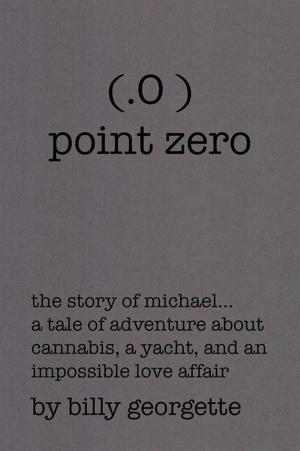 Cover of the book (.O ) Point Zero by Meera Popkin