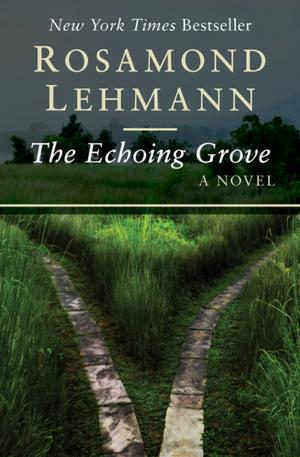 Cover of the book The Echoing Grove by Jeff Tikari