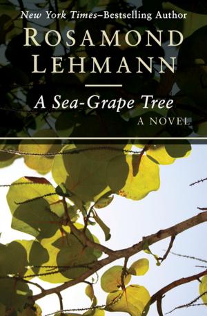 Book cover of A Sea-Grape Tree