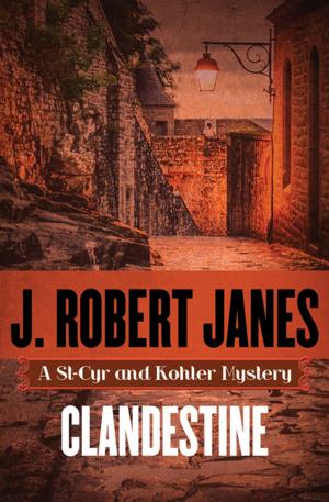 Cover of the book Clandestine by James Phoenix