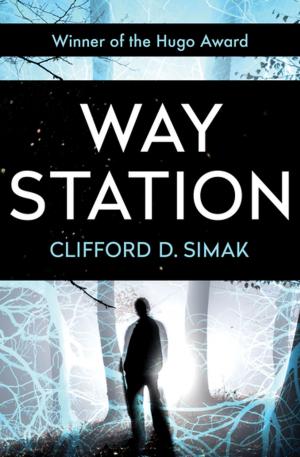 Cover of the book Way Station by Andre Norton
