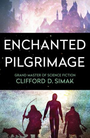 Cover of the book Enchanted Pilgrimage by Mary McCarthy