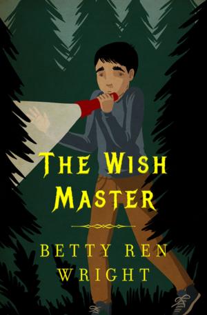 Cover of the book The Wish Master by David A. Adler