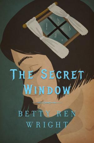 Cover of The Secret Window