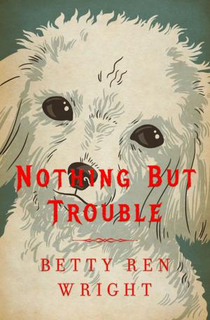 Cover of the book Nothing But Trouble by Patricia Reilly Giff