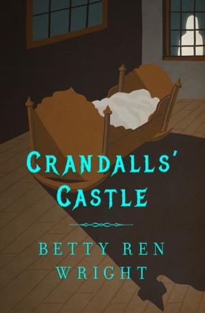 Cover of the book Crandalls' Castle by Laura Vaccaro Seeger