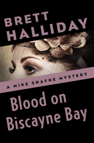 Cover of the book Blood on Biscayne Bay by Janet Elizabeth Lynn, Will Zeilinger