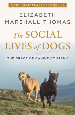 Book cover of The Social Lives of Dogs