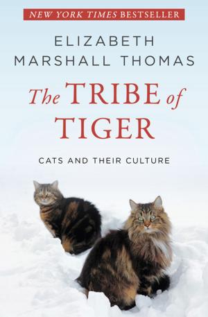 Book cover of The Tribe of Tiger