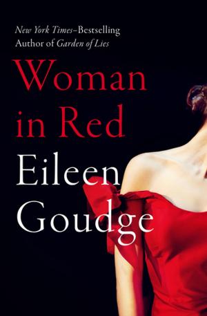 Cover of the book Woman in Red by Lois Ruby