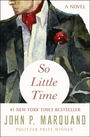 Cover of the book So Little Time by Marge Piercy