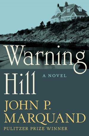 Cover of the book Warning Hill by Patricia Wentworth
